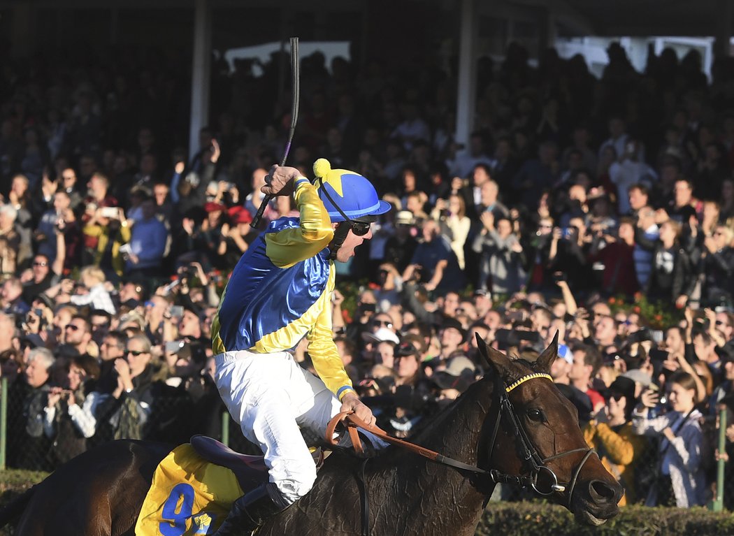 Jan Faltejsek s Tzigane du Berlais slaví triumf ve Velké pardubické