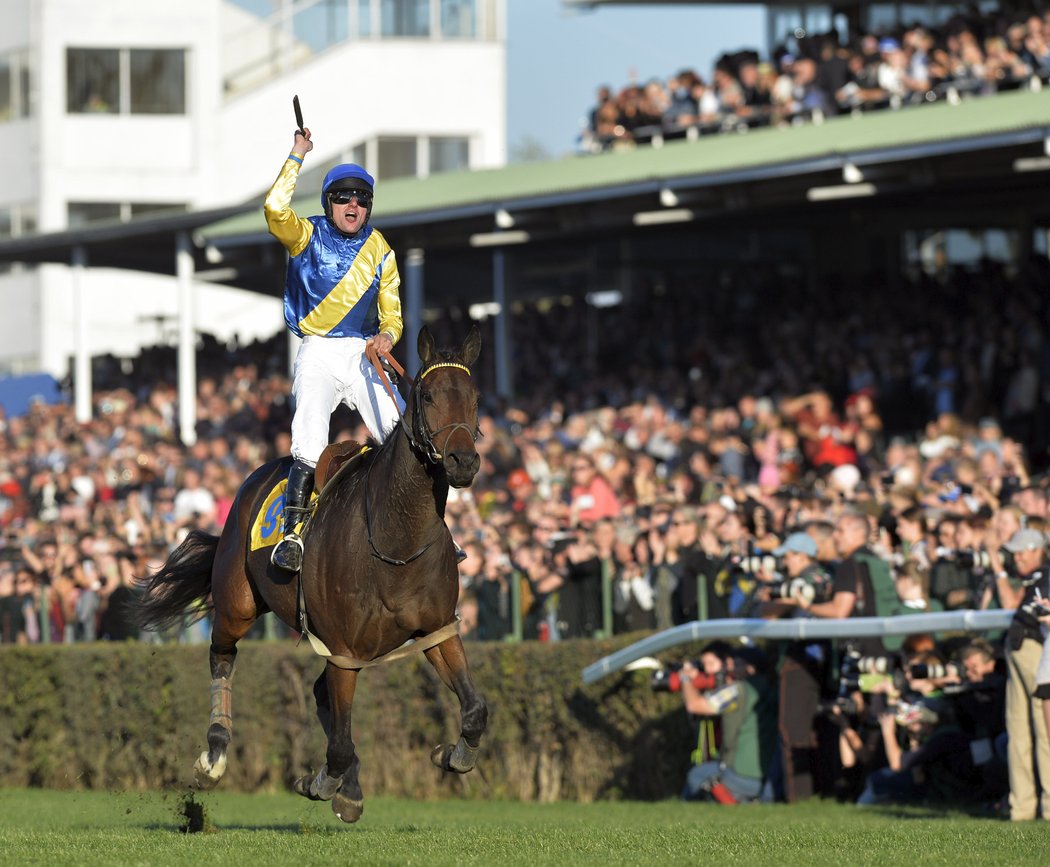 Jan Faltejsek míří jako vítěz do cíle 128. Velké pardubické