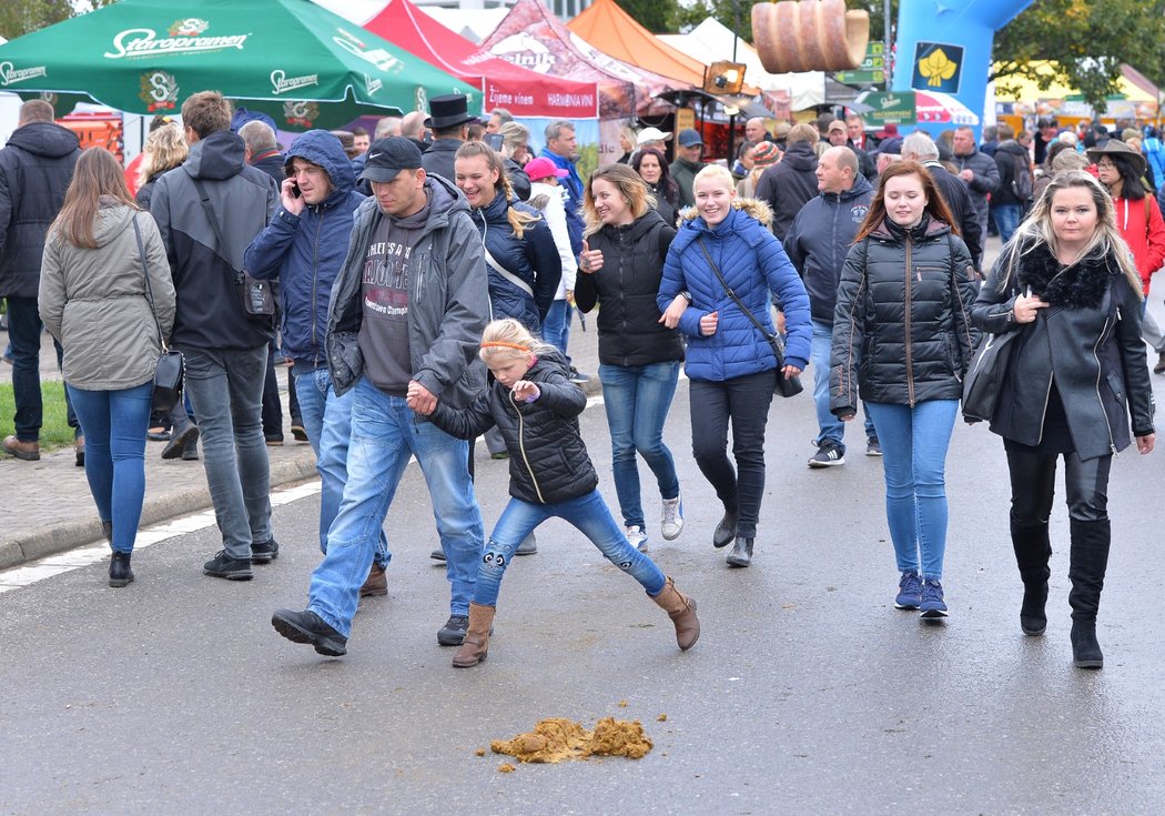 I tohle k dostihům neodmyslitelně patří...