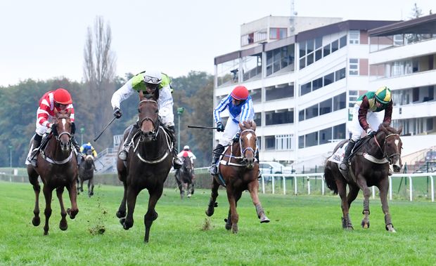 Cílová rovinka Velké pardubické 2020: (zleva) Vandual, žokej Romain Julliot, Hegnus, žokej Lukáš Matuský, Player, žokej Marcel Novák, Talent, žokej Pavel Složil ml. Cílová rovinka Velké pardubické 2020: (zleva) Vandual, žokej Romain Julliot, Hegnus, žokej Lukáš Matuský, Player, žokej Marcel Novák, Talent, žokej Pavel Složil ml.