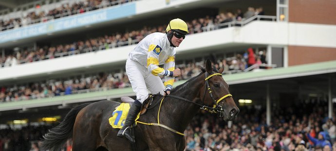 Vítěz Velké pardubické 2016 Jan Faltejsek s Charme Lookem