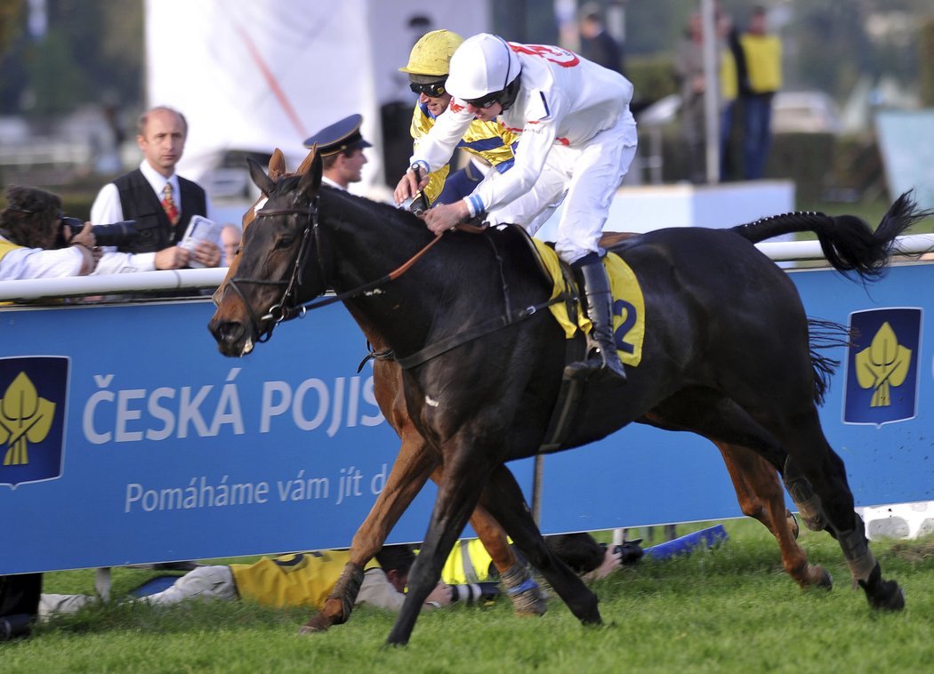 Dramatický dojezd Velké pardubické: Al Jaz pronásleduje vítězku Orphee des Blins