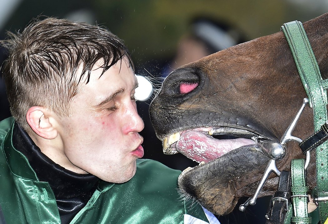 Vítězný polibek! Jan Kratochvíl a No Time To Lose si užívají triumf ve Velké pardubické...