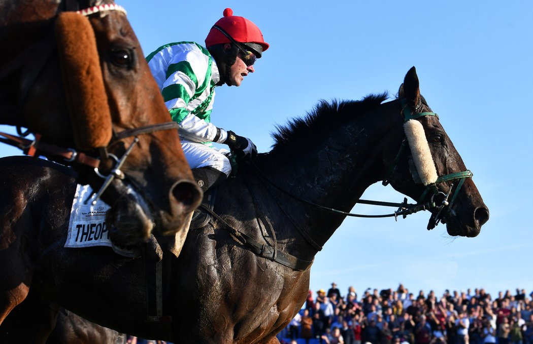 Theo, jeď! Poslední centimetry Velké pardubické