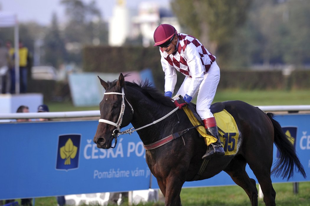 Josef Váňa s Tiumenem dojel do cíle Velké pardubické na 16. místě