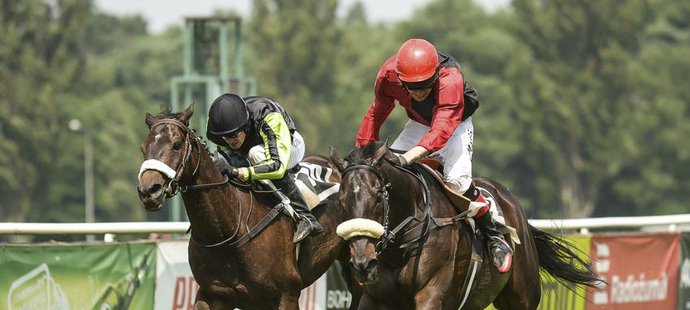 Templář s Josefem Bartošem (vlevo) a Puntarenas s Lukášem Matuským svádí boj ve finiši druhé kvalifikace na Velkou pardubickou steeplechase s Českou pojišťovnou