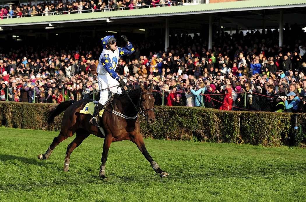 Marek Stromský v sedle hnědáka Nikase slaví svůj triumf ve Velké pardubické