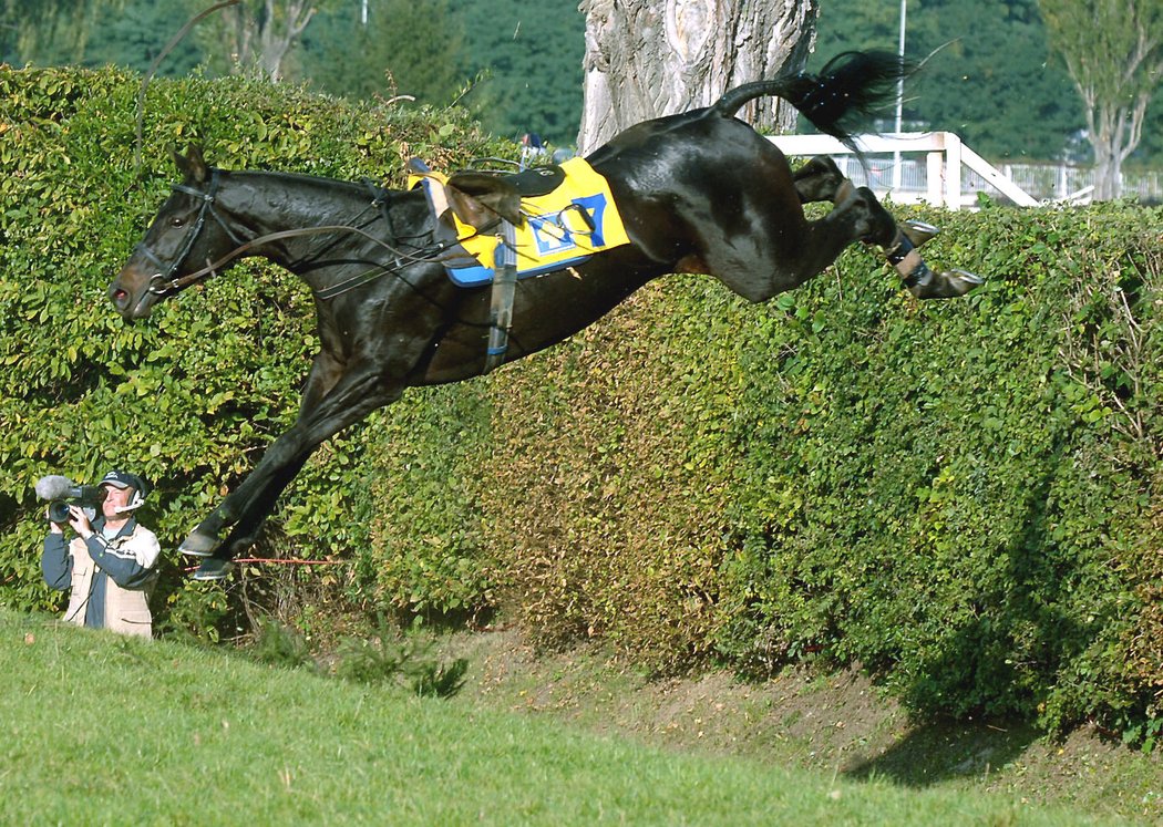 Registana už bez žokeje Jamese Crowleyho na Velké pardubické 2005