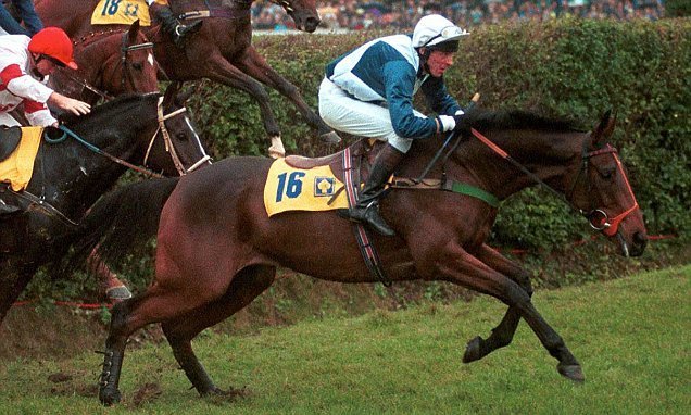 Conneryho kůň Risk of Thunder startoval dvakrát na Velké pardubické