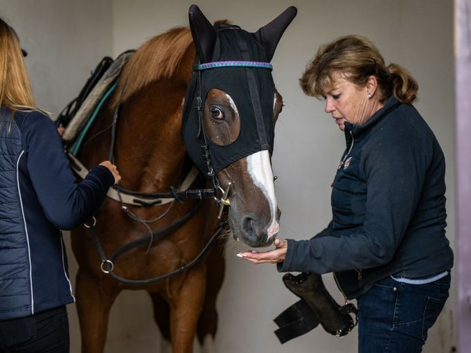 Trenérka o Sexy Lordovi: Přežije. Je naštvaný, protože nevyhrál. Myška? Pro mě hrdina Trenérka o Sexy Lordovi: Přežije. Je naštvaný, protože nevyhrál. Myška? Pro mě hrdina