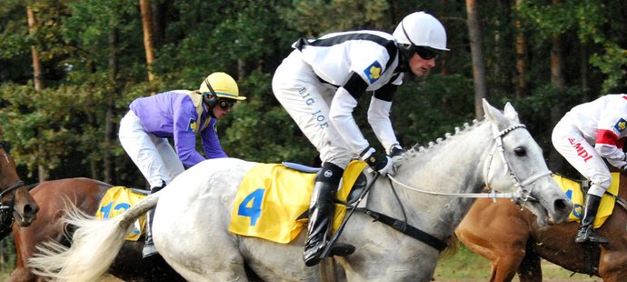 Josef Bartoš s bělkou Sixteen na trati Velké pardubické. Legendární klisna nakonec do cíle nedoběhla