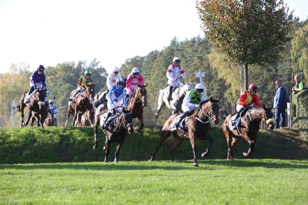 Velká pardubická 2021, vpravo nahoře Star s Jaroslavem Brečkou Velká pardubická 2021, vpravo nahoře Star s Jaroslavem Brečkou