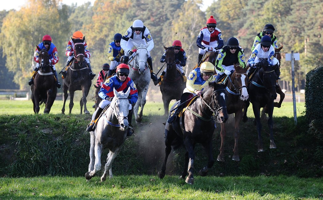 Pole Velké pardubické překonává Drop, vlevo vpředu Marek Stromský s Amant Grisem