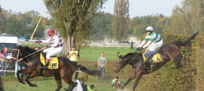 Děsivý pád Josefa Bartoše ve Velké pardubické 2014, který nepřežila klisna Zulejka