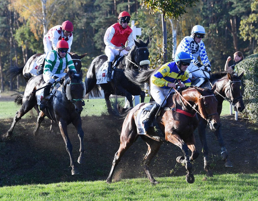 Velká pardubická 2019: zleva Theophilos (ž. Bartoš), Zarif (ž. Boyer), Templář (ž. Odložil), Chicname De Cotte (ž. Duchene), Krocoleon (ž. Sloup)