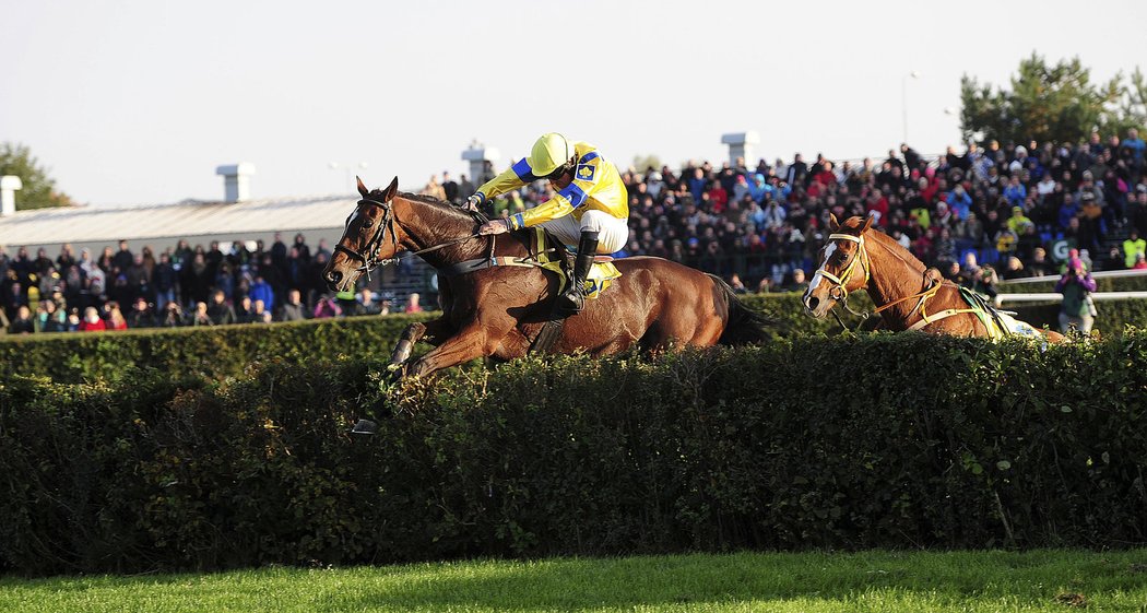 Jan Faltejsek s Universe of Gracie vedení ve Velké pardubické neuhájil