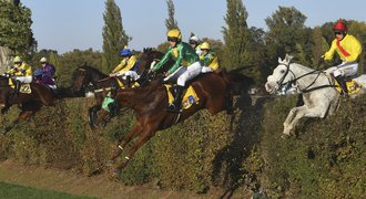 Na Velkou pardubickou je přihlášeno zatím 26 koní, nechybí ani loňský vítěz