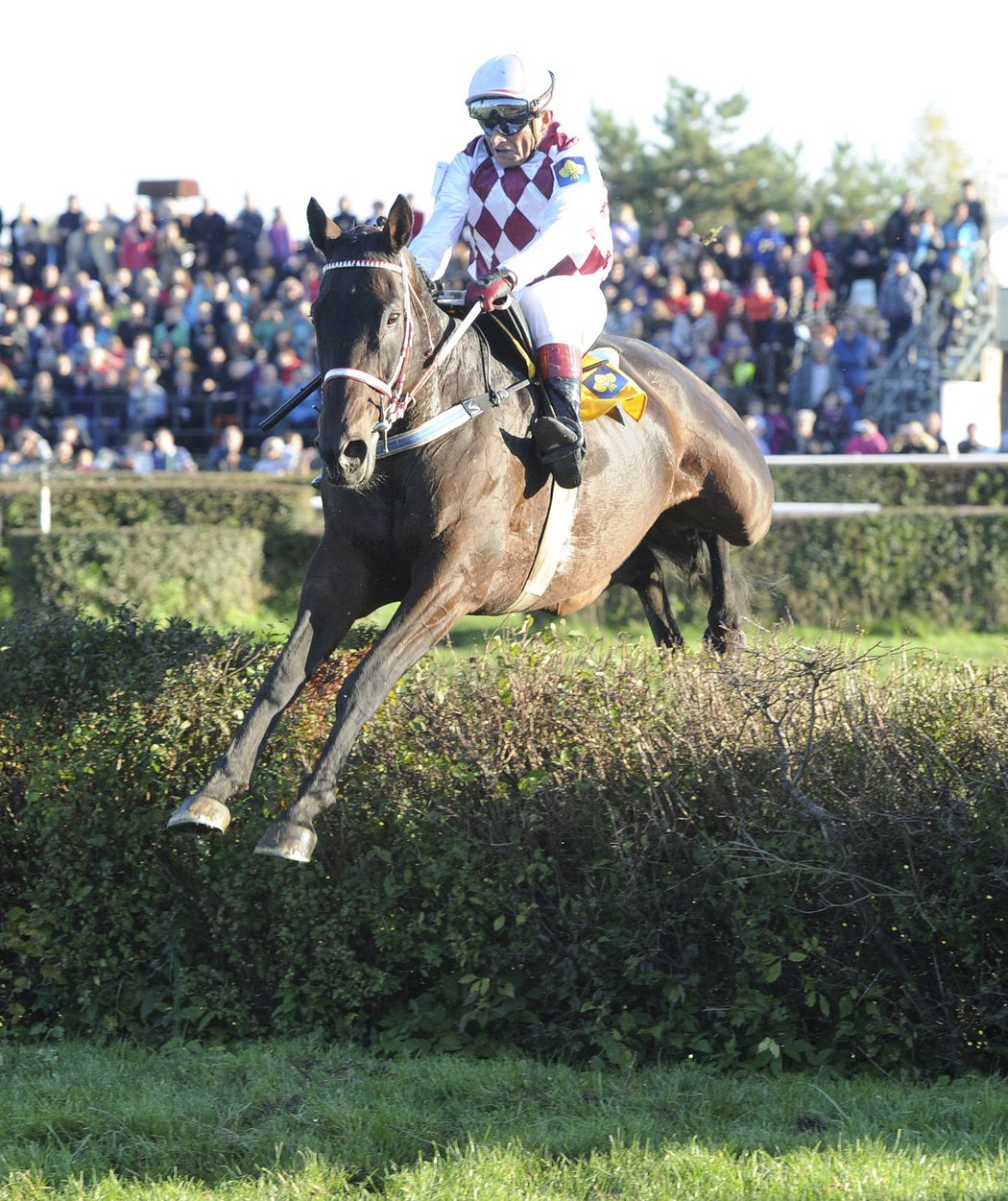 Josef Váňa starší doufá, že se bude na Velké pardubické radovat z vítězství