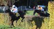 Velkou pardubickou jasně ovládla Orphee des Blins