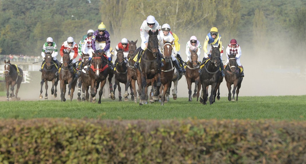 Jan Faltejsek v sedle Orphee des Blins v čele Velké pardubické