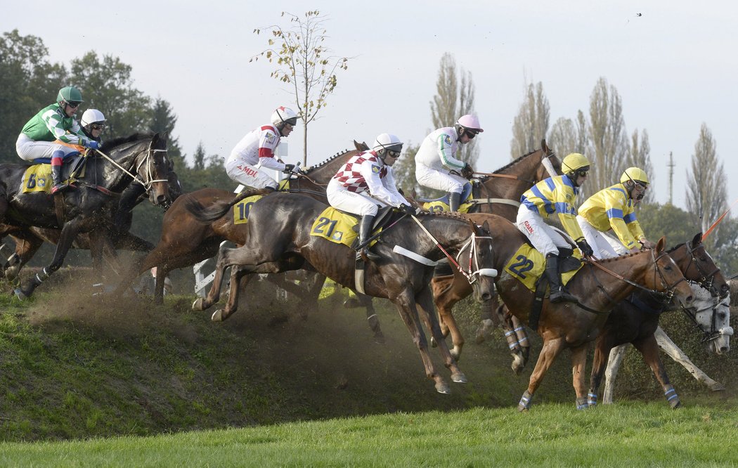 Závodníci na Velké pardubické překonávají 15. překážku Drop