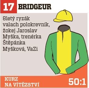 Bridgeur