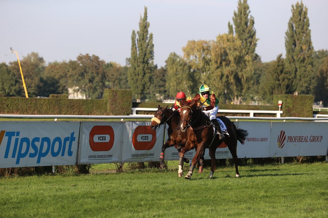 Finiš 131. Velké pardubické