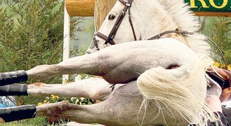 600kilový kůň spadl jezdci na hlavu