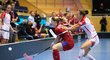 Češky duel o bronz se Švýcarskem nezvládly