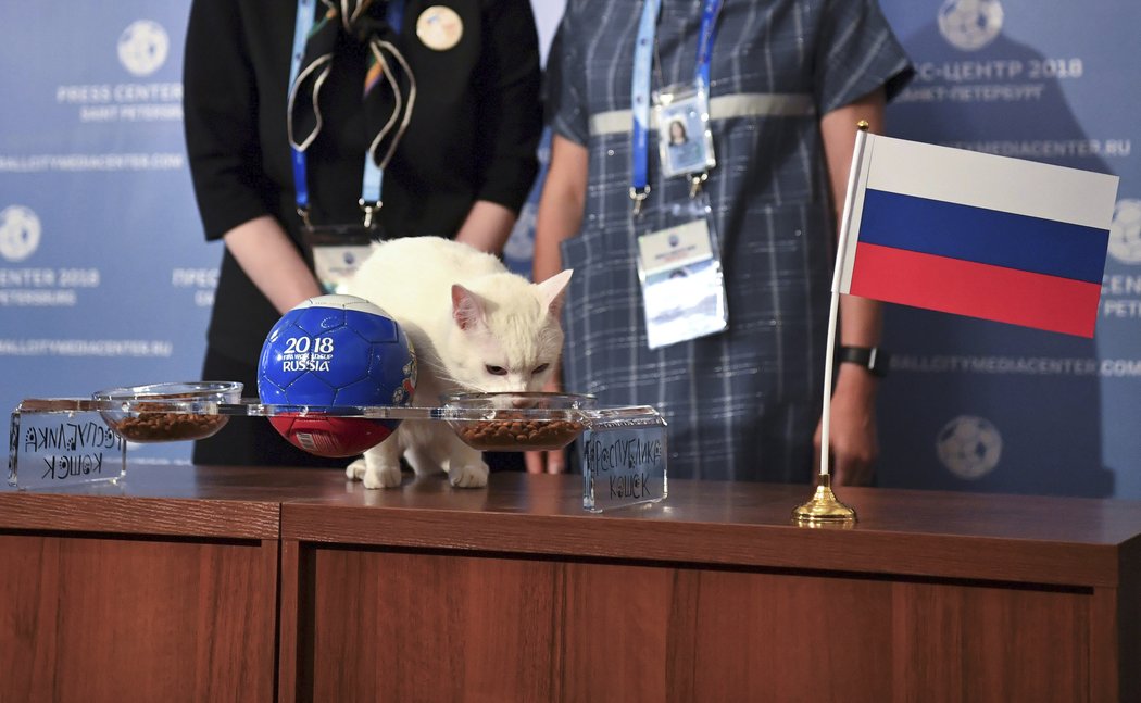 Fotbalisté Ruska vyhrají zahajovací zápas mistrovství světa nad Saúdskou Arábií. Předpověděl to alespoň kocour Achilles, který si při slavnostním ceremoniálu vybral misku s jídlem, na které byla ruská vlajka.