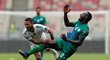 V utkání Alžírska se Sierra Leone se gólů fanoušci nedočkali