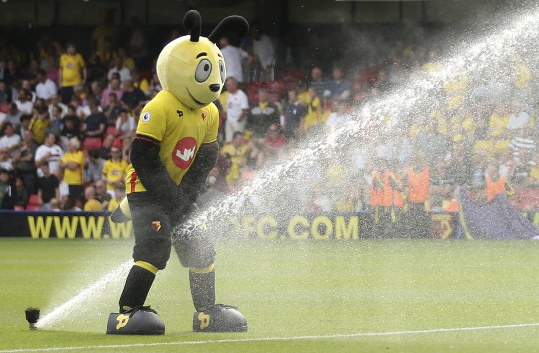 Maskot Watfordu se před zápasem proti Arsenalu vyřádil