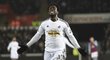 Útočník Bony Wilfried při utkání své Swansea s Aston Villou skóroval, sudí ale branku nakonec neuznal.