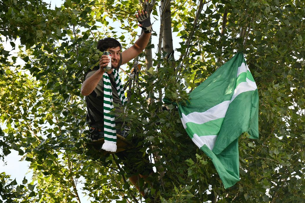 Zřejmě nejoriginálnější &#34;sedačku&#34; si pro duel s Teplicemi našel fanoušek Bohemians, který hnízdil na stromě