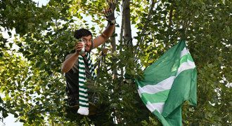 Tribuny štafle a strom. Kotel Bohemky byl prázdný, i tak koukalo půl Vršovic