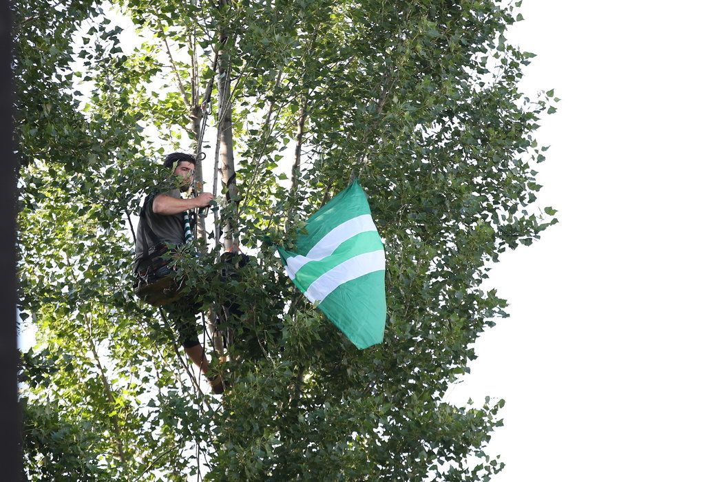 Jeden z fanoušků Klokanů se dokonce pro zápas s Teplicemi uvelebil i s plechovkou piva na stromě