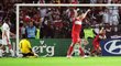 Petr Čech během utkání na EURO 2008 proti Turecku, kde dostal lacinou branku od Nihata