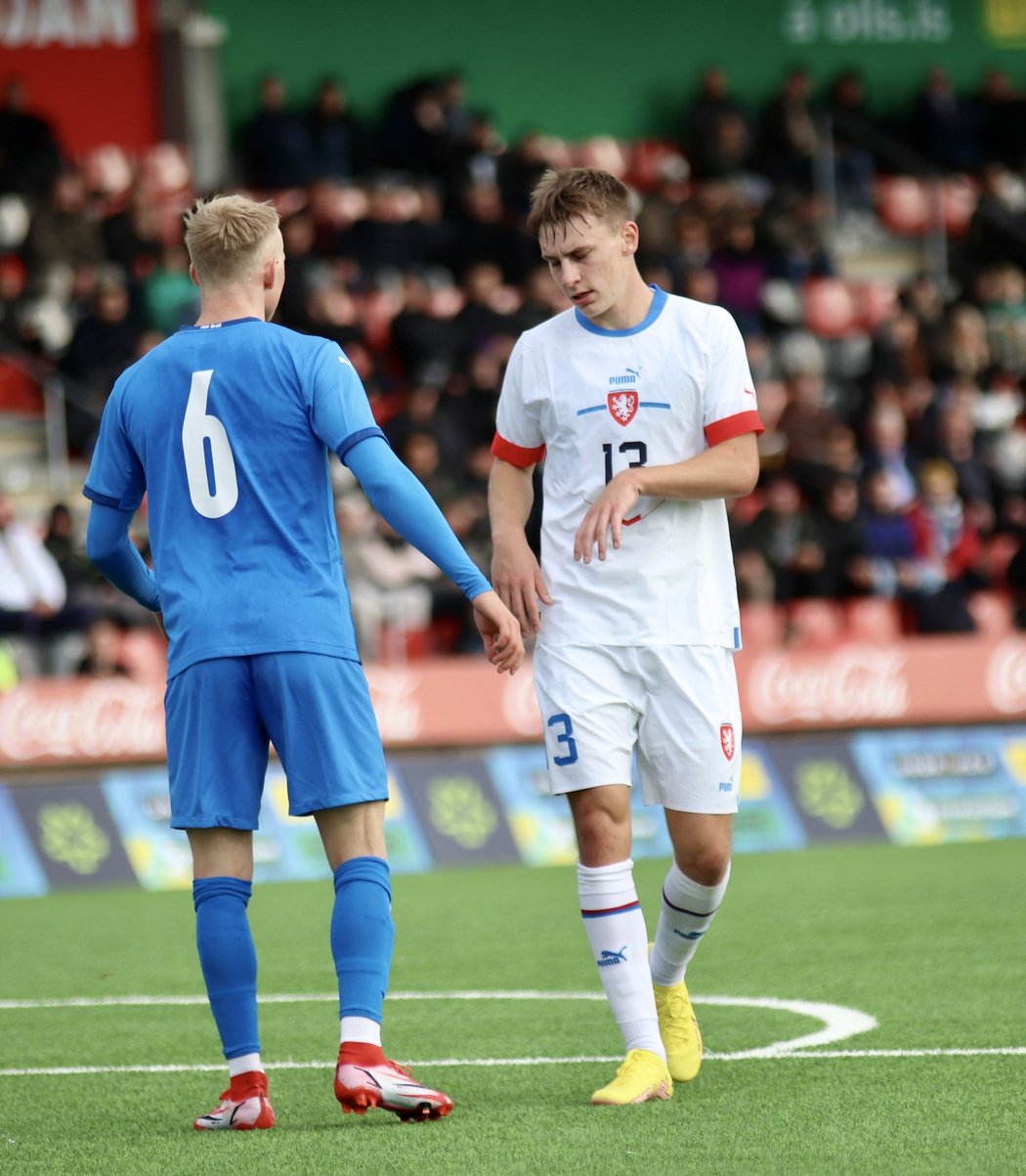 Kryštof Daněk v zápase proti Islandu