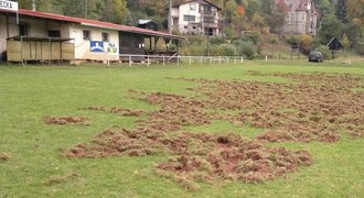 Pozor, PRASATA. Klubu z Jičínska divočáci zničili trávník