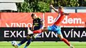Daniel Vašulín z Brna a Jakub Černín z Zlína