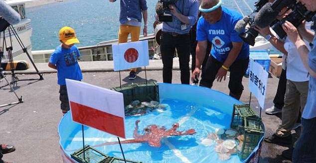 Japonská chobotnice byla při tipování zápasů velmi úspěšná