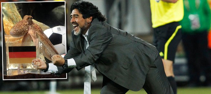"Jsem rád, že jsi mrtvý," vzkázal chobotnici Paulovi legendární Diego Maradona