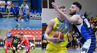 PŘEHLED restartu sportu v Česku: jak jsou na tom basketbal, házená a další?