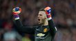 David de Gea v brance Manchesteru United