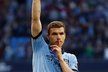 Edin Džeko (Manchester City, útočník, 27) – českým fotbalovým fanouškům dobře známý bosenský střelec by byl ideální náhradou za Lewandowského. V modrém klubu z Manchesteru nehraje tak často, jak by si přál, v bundeslize navíc už jednou zazářil. Největší překážkou by tak byl jeho plat a nemalé odstupné