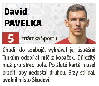 David Pavelka