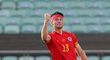 Kieffer Moore z Walesu oslavuje svou trefu do sítě Švýcarska na EURO