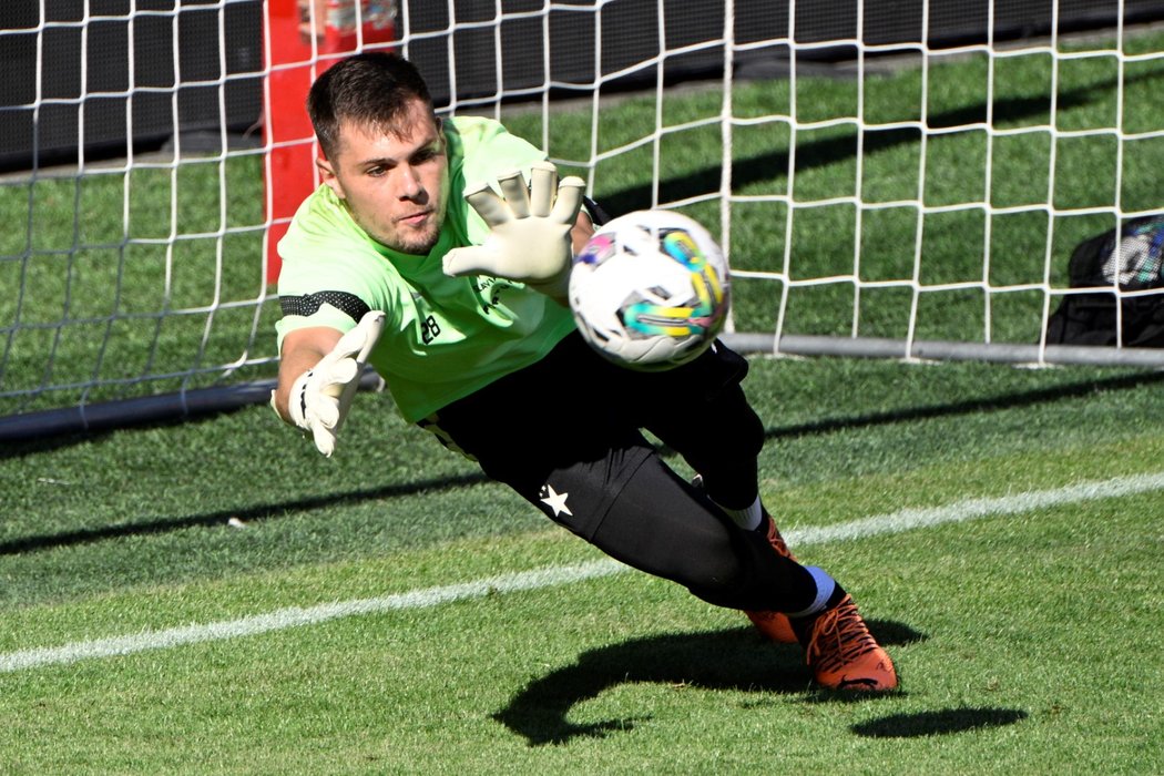 Brankář Aleš Mandous bude čelit nebezpečnému soupeři z Řecka