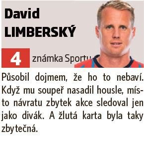 David Limberský