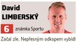 Hodnocení hráčů Viktoria Plzeň z utkání proti AEK Larnaka - David Limberský